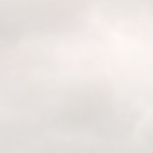 Meet your Posher, Katrina